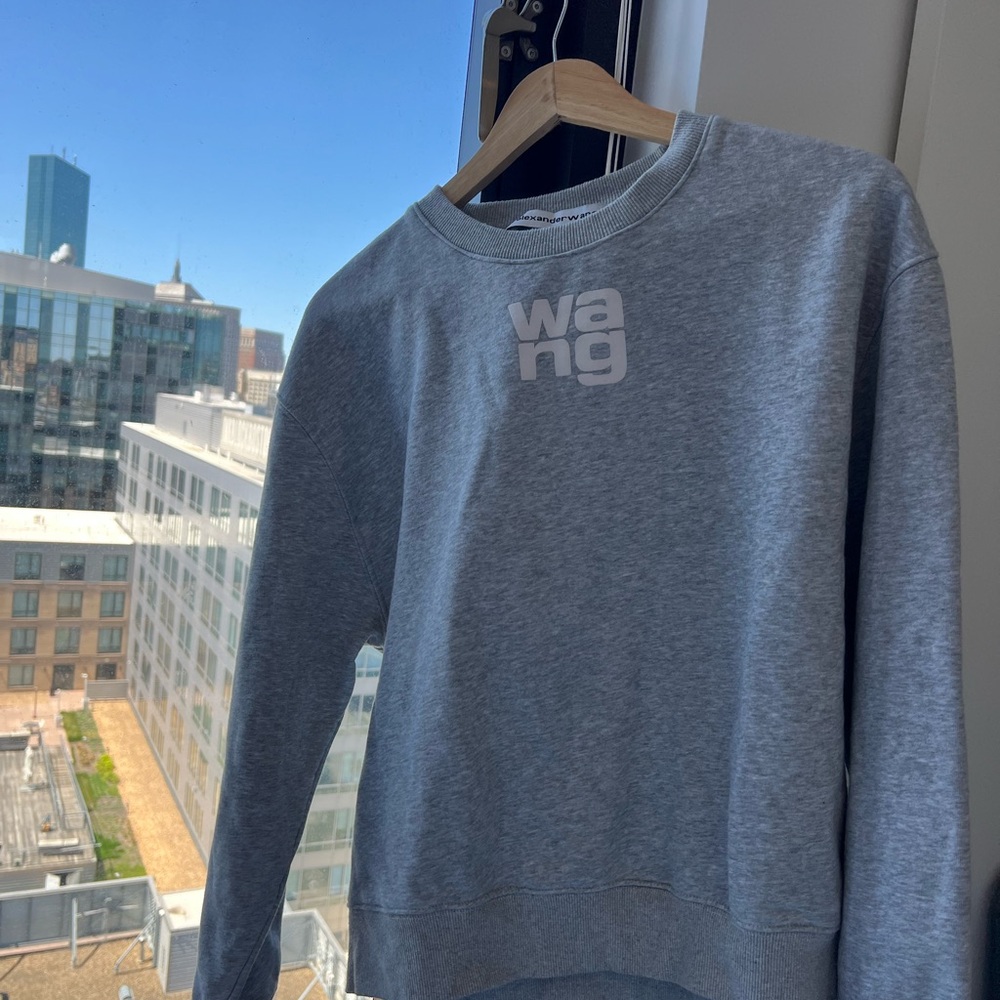Alexander Wang Women's Gray Sweatshirt
